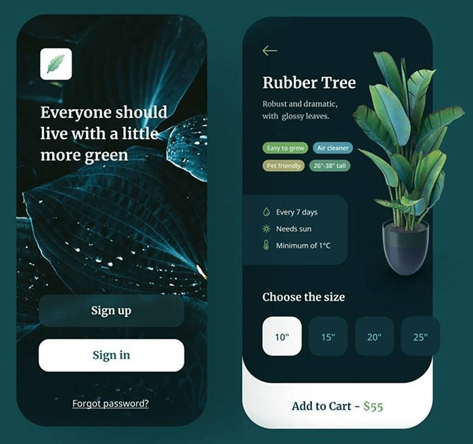 Website/ App Design
