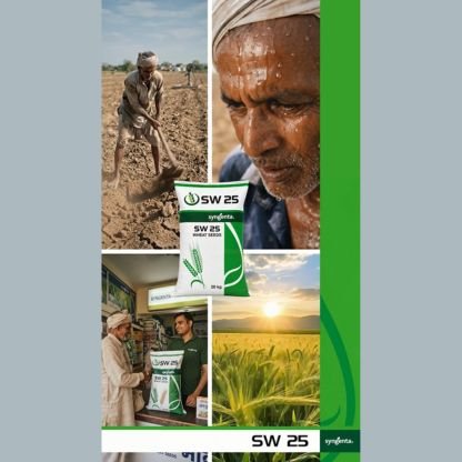 Syngenta Seeds AI Video