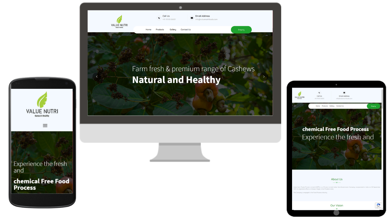 Shopify Development Agency in Jaipur